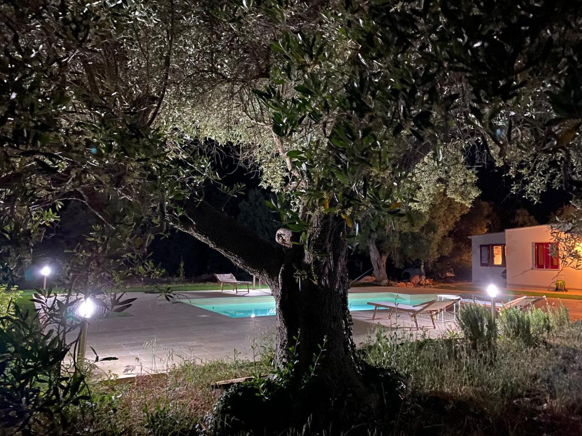 Le Radici Bed & Breakfast Monopoli Bagian luar foto